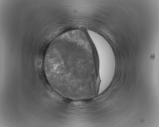 X0000090760417200708172052