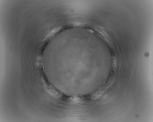 X0000090760419200708172052