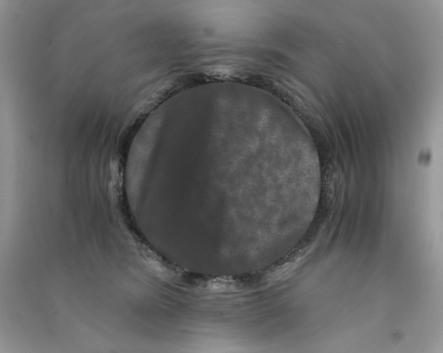 X0000090760420200708172052