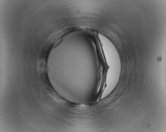 X0000090760421200708172052