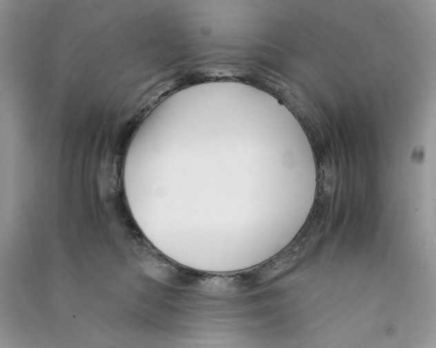 X0000090760422200708172052