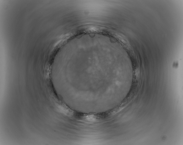 X0000090760423200708172052