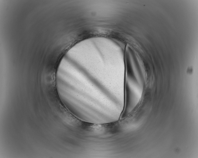 X0000090760425200708172051