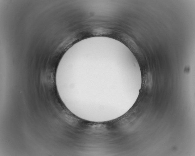 X0000090760426200708172051