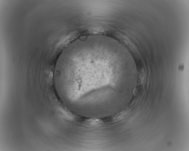 X0000090760427200708172051