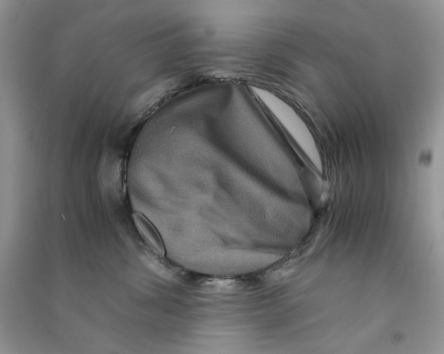 X0000090760428200708172051