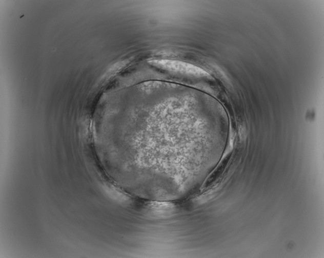 X0000090760429200708172051