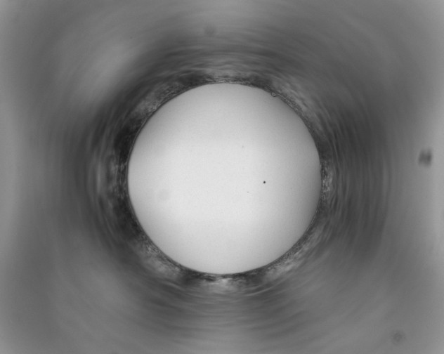 X0000090760430200708172051