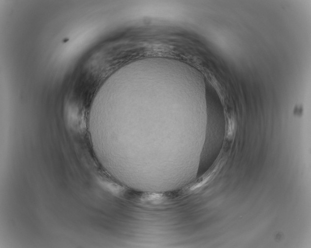 X0000090760431200708172051