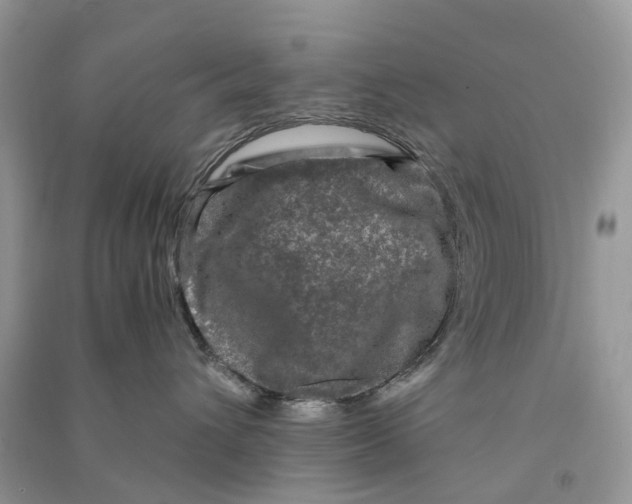 X0000090760432200708172051