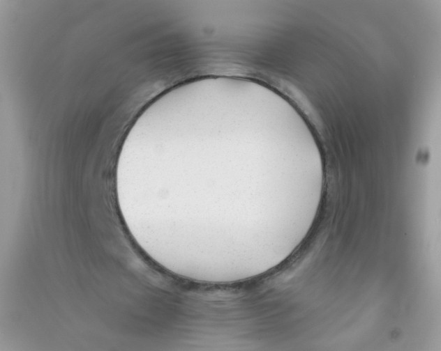 X0000090760433200708172051