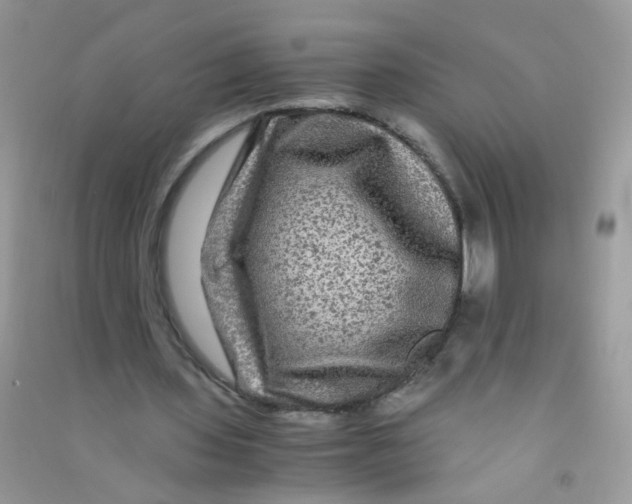 X0000090760435200708172051