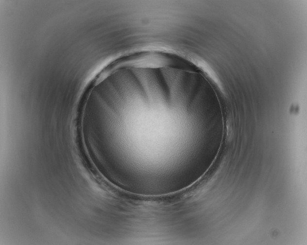 X0000090760436200708172051