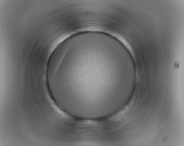 X0000090760437200708172051