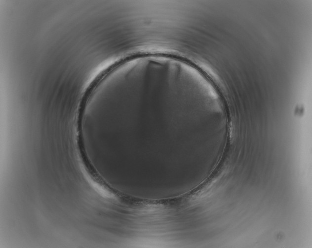 X0000090760438200708172051