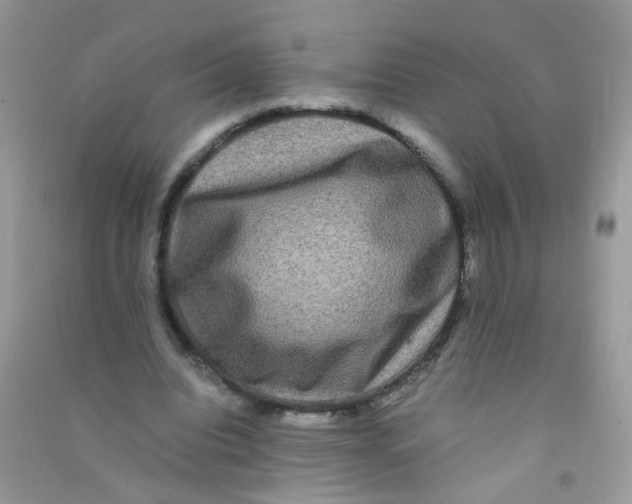 X0000090760440200708172051