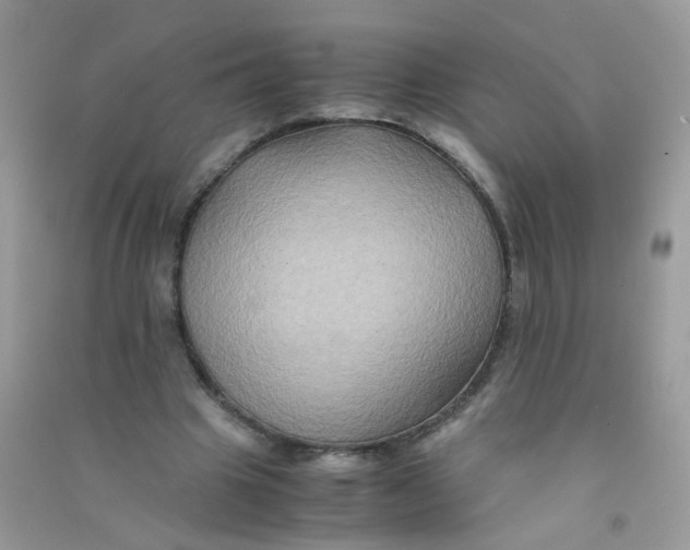 X0000090760441200708172051