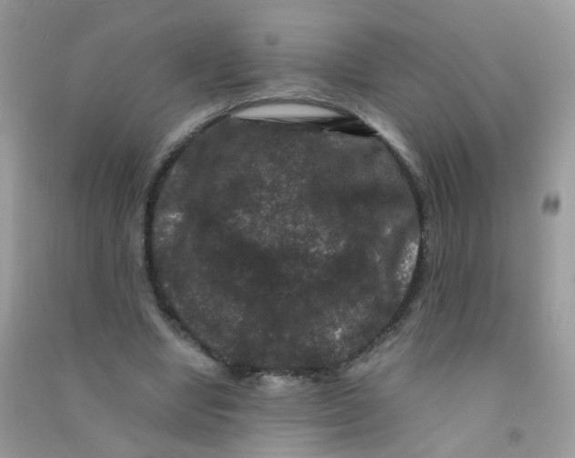 X0000090760442200708172051