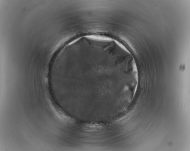 X0000090760443200708172051