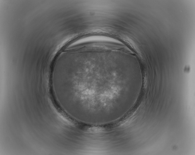 X0000090760444200708172051