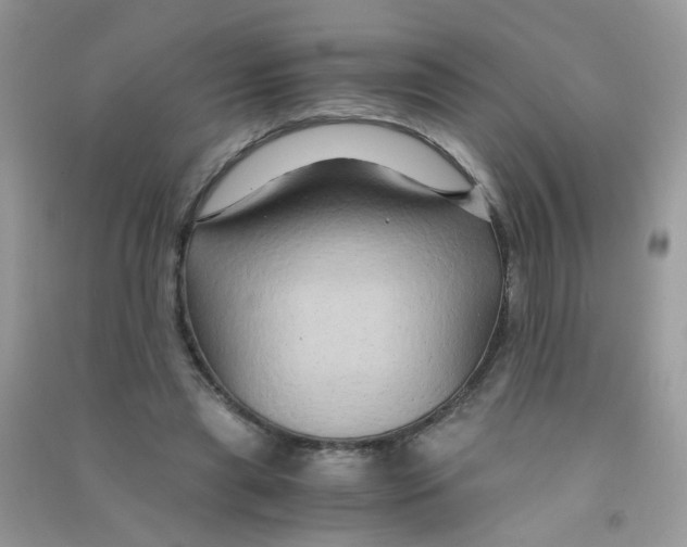 X0000090760445200708172051