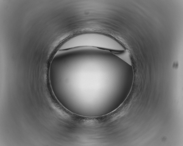 X0000090760446200708172051