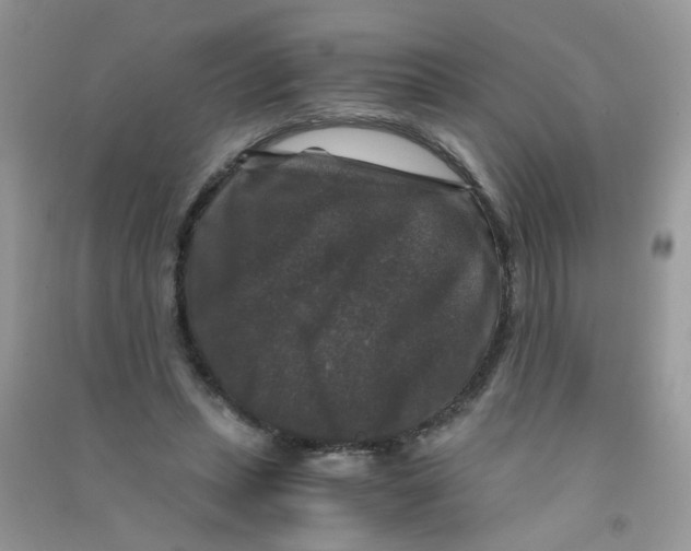 X0000090760447200708172051