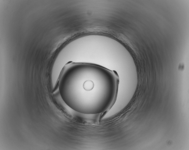 X0000090760448200708172051