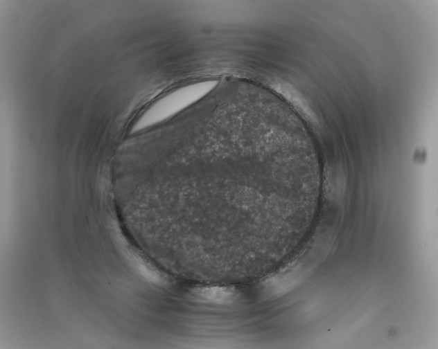 X0000090760449200708172051
