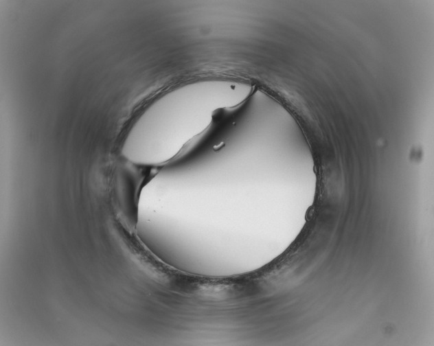 X0000090760450200708172051