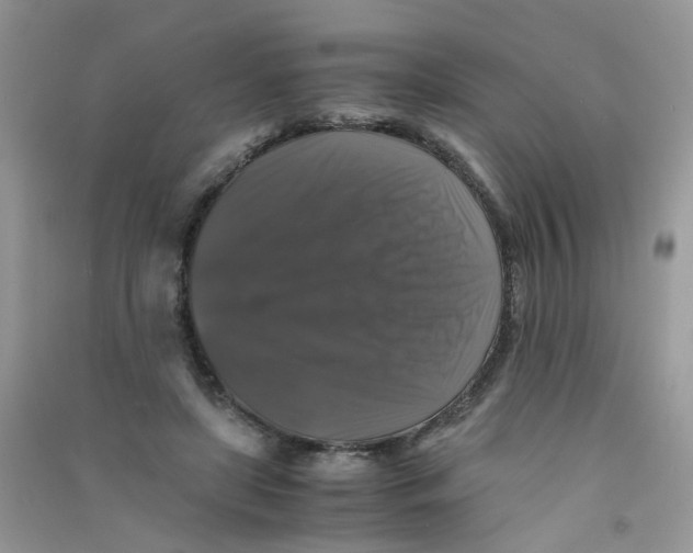 X0000090760451200708172051