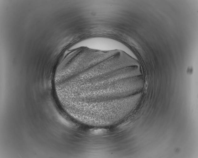 X0000090760452200708172051