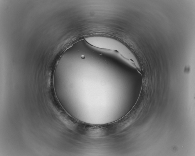 X0000090760454200708172051