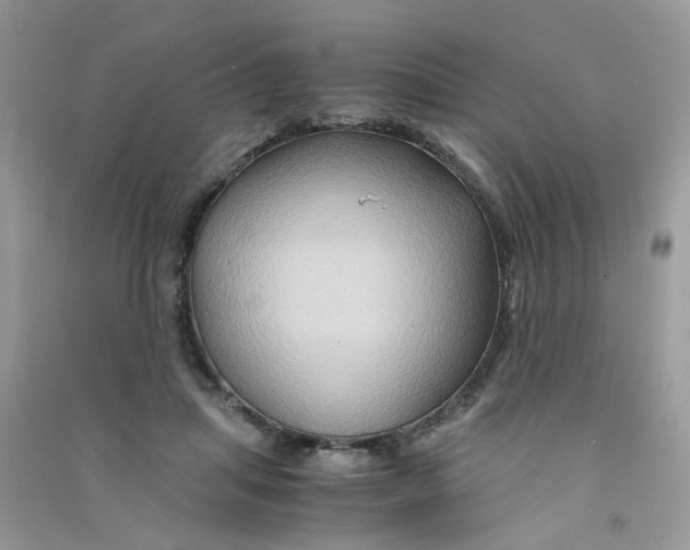 X0000090760455200708172051