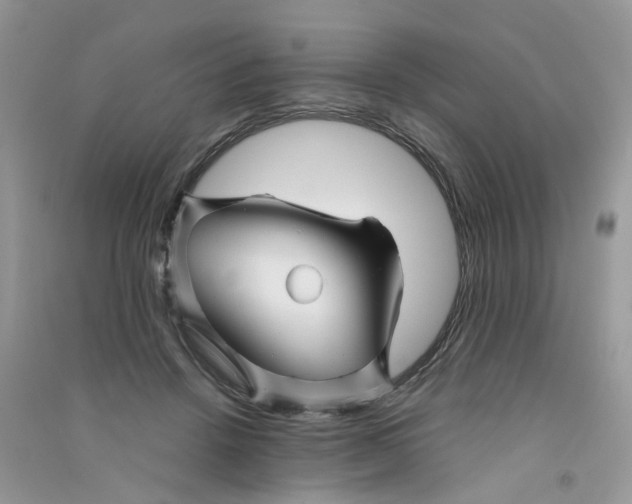 X0000090760456200708172051