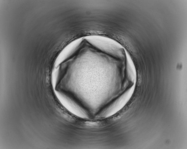 X0000090760457200708172051