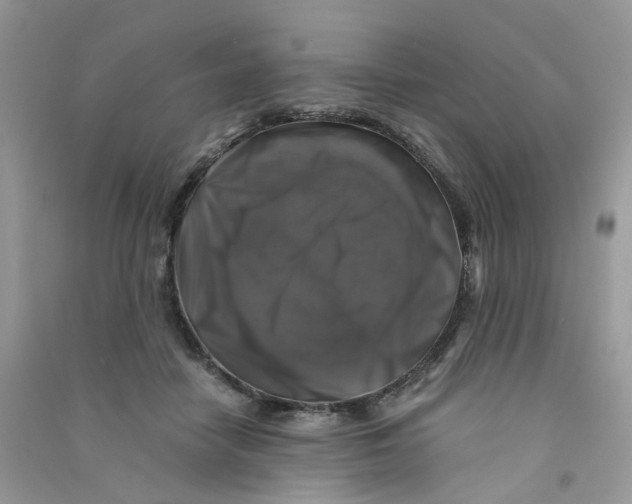 X0000090760458200708172051