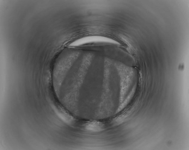 X0000090760459200708172051
