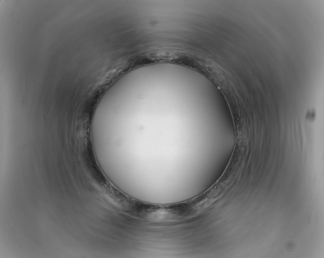 X0000090760460200708172051