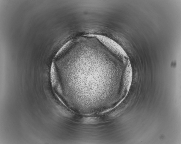 X0000090760461200708172051