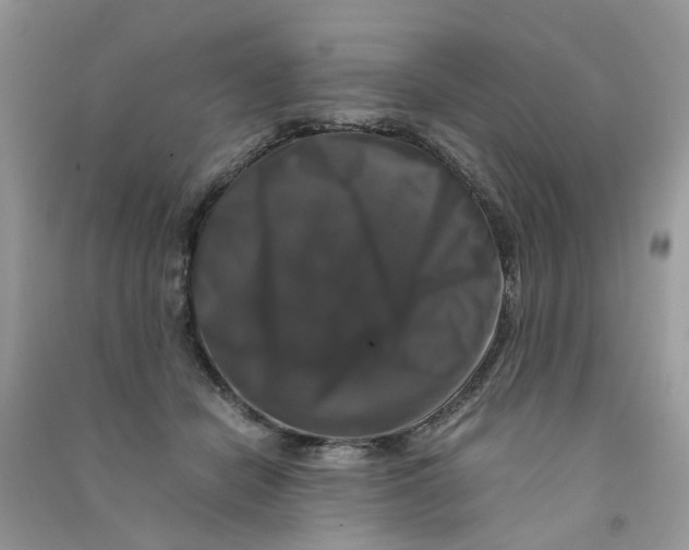 X0000090760462200708172051