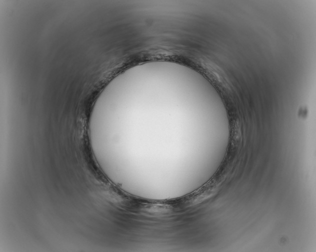 X0000090760463200708172051