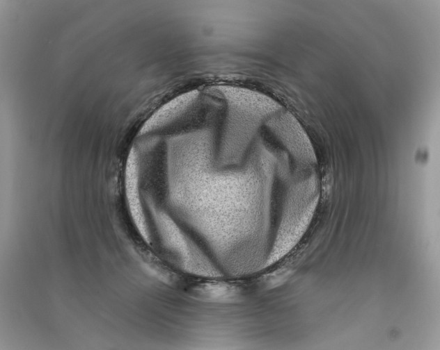 X0000090760464200708172051