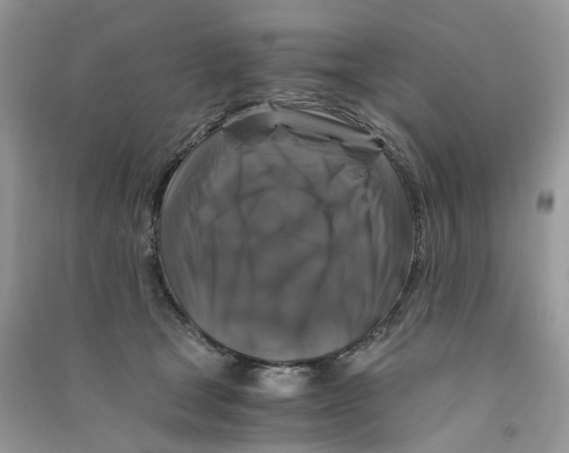 X0000090760465200708172051