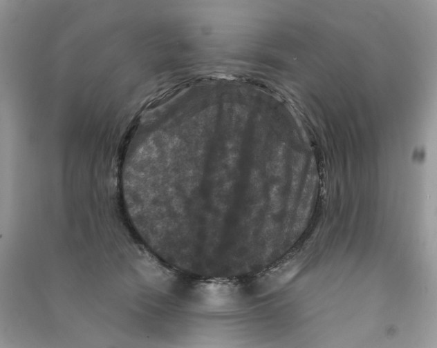 X0000090760466200708172051