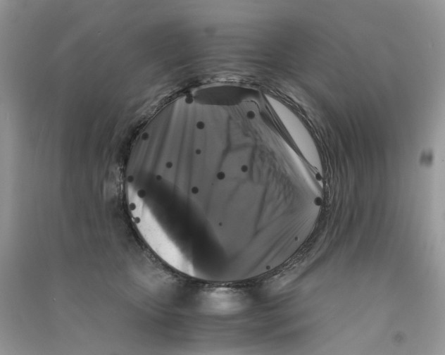 X0000090760467200708172051