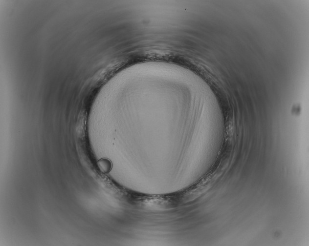 X0000090760468200708172051