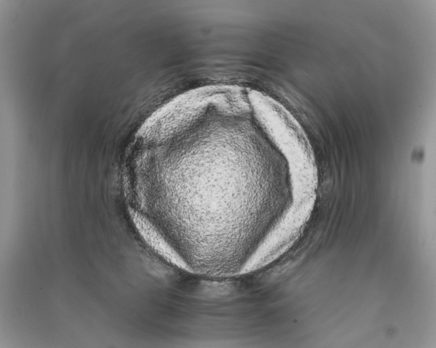 X0000090760469200708172051