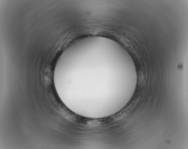 X0000090760470200708172051