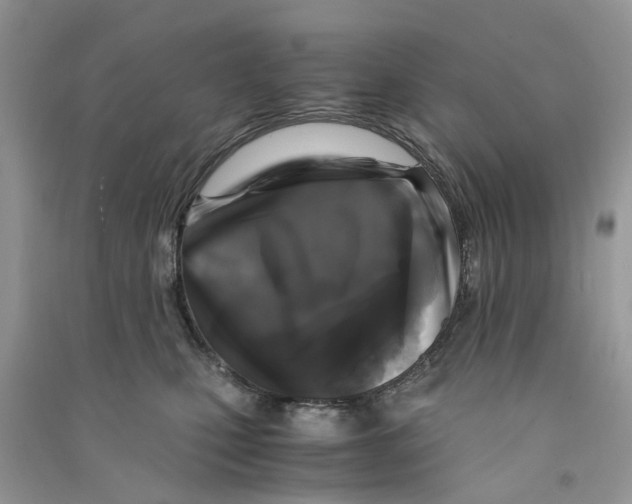 X0000090760471200708172051